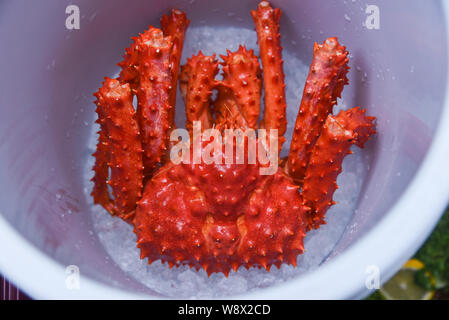 Le Crabe royal d'Alaska sur glace Vue de dessus / crabe rouge marché de fruits de mer à Hokkaido Banque D'Images