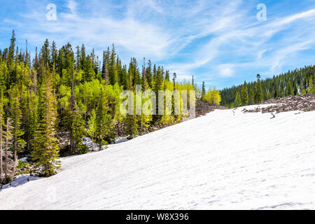 En haut du sommet de la randonnée dans les lacs Thomas Mt Sopris, Carbondale, Colorado avec hill en été avec de la neige sur les pics de Banque D'Images