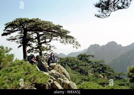 Paysage de pins sur le Mont Tai ou montagne Taishan comme Bixia Temple est vu dans l'arrière-plan dans la ville de Qingdao, province du Shandong, Chine de l'est 24 J Banque D'Images