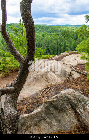 Une courbe des branches d'arbre sur terrain rocailleux, à la recherche d'une falaise vers un vista de forêt mixte, y compris de nombreux conifères à feuilles persistantes, et un ciel bleu. Banque D'Images