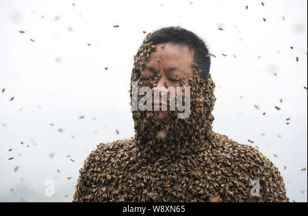 34 ans apiculteur chinois Ping elle est presque couvert d'abeilles tout au cours d'un défi de créer les mondes plus lourd manteau d'abeilles à muer, ville Banque D'Images