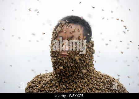 34 ans apiculteur chinois Ping elle est presque couvert d'abeilles tout au cours d'un défi de créer les mondes plus lourd manteau d'abeilles à muer, ville Banque D'Images