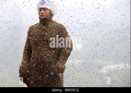 34 ans apiculteur chinois Ping elle est presque couvert d'abeilles tout au cours d'un défi de créer les mondes plus lourd manteau d'abeilles à muer, ville Banque D'Images