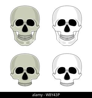 Set de crânes isolé sur fond blanc. Cartoon crâne humain avec la mâchoire. Vector illustration pour toute conception. Illustration de Vecteur
