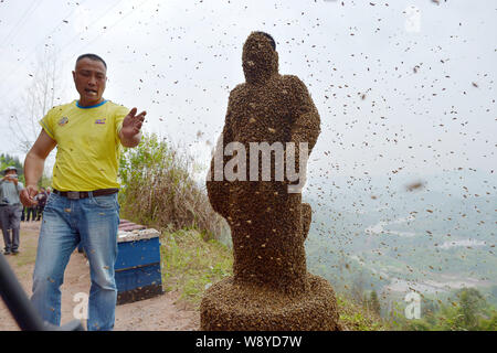34 ans apiculteur chinois elle Ping, droite, est couverte d'abeilles toutes au cours d'un défi de créer les mondes plus lourd manteau d'abeilles à muer, ville Banque D'Images