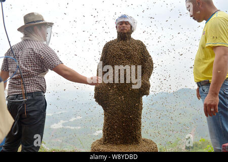 34 ans apiculteur chinois elle Ping, centre, est presque couverte de toutes les abeilles au cours d'un défi de créer les mondes plus lourd manteau d'abeilles en UM Banque D'Images