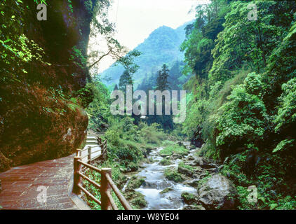 Paysage d'une allée à Mount Emei, ou la montagne Emei, dans la ville de Leshan, province du Sichuan, Chine du sud-ouest. Banque D'Images