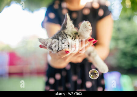 Mignon chaton gris et blanc dort sur les mains de femme en robe et portant des clous. À l'extérieur. Femme glisser chaton. Banque D'Images