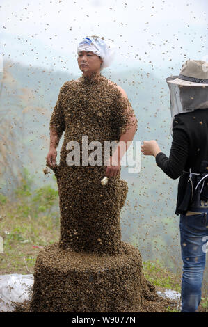 34 ans apiculteur chinois Ping elle est presque couvert d'abeilles tout au cours d'un défi de créer les mondes plus lourd manteau d'abeilles à muer, ville Banque D'Images