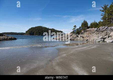 Scène paisible en regardant sur une plage de sable vide à Tofino, île de Vancouver, Colombie-Britannique, Canada Banque D'Images