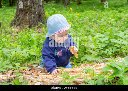 Petit bébé fille 9 mois à explorer un arbre pourri, marcher dans les bois, fille enfant creuse dans la sciure, soft focus portrait enfant Banque D'Images