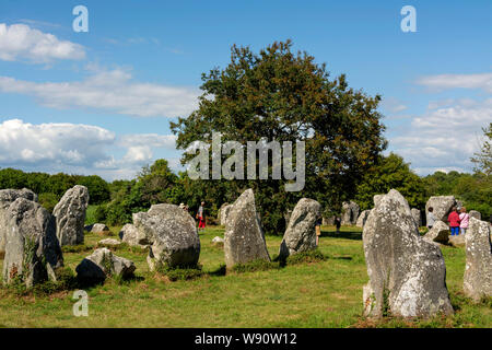 Mégalithes, menhirs de Kerzerho, Lomener, Morbihan, Bretagne, France Banque D'Images