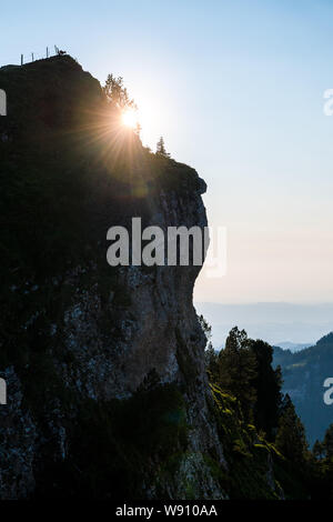 Fels wand mit Steinbock und in den Schweizer Alpen Sonnenstern Banque D'Images