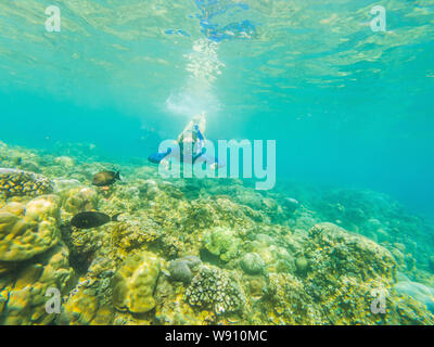 Femme heureuse dans la plongée sous-marine plongée masque avec les poissons tropicaux dans la mer de corail Extérieure. L'eau de vie, voyage d'aventure en plein air sport, natation Banque D'Images