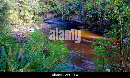 Moira Gate Arch au bassin Oparara, Kahurangi National Park, New Zealand. Banque D'Images