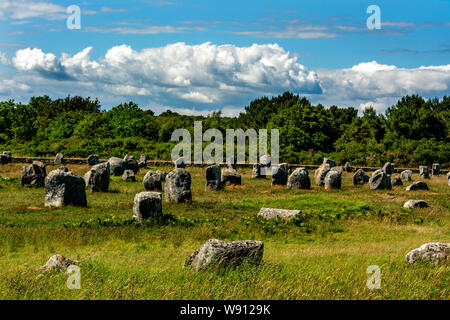 Carnac. Mégalithes, menhirs en ligne. Morbihan. Bretagne. France Banque D'Images