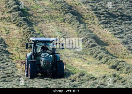 Farmer le foin d'aviron avec un tracteur Hurlimann et un râteau deux passes sur une ferme près de la colline de Cumbrie, Cumbria. Ravenstondeale Banque D'Images