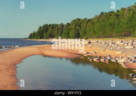 La côte de sable de la mer Baltique en Vidzeme Banque D'Images