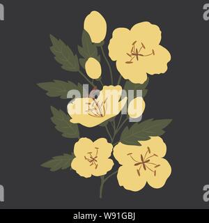 Vector illustration de bouquet de fleurs sauvages jaune Illustration de Vecteur