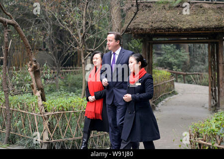 Le Premier ministre britannique, David Cameron, centre, visite la Chaumière de Du Fu, un célèbre poète chinois de la dynastie Tang (618-907 après J.C.), à Chengdu c Banque D'Images