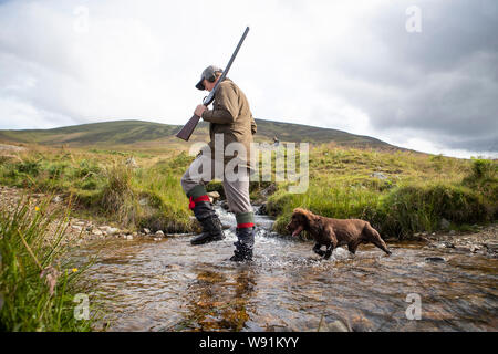 Archie Ward, avec Milo le chien, membre d'une partie de tir sur les maures à l'Estate dans Glen Clova Rottal, près de Kirriemuir, Angus, sur le glorieux douzième, le début de la saison de tir des tétras. Banque D'Images