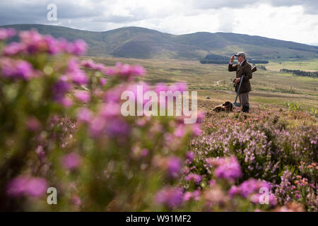 Archie Ward, avec Milo le chien, membre d'une partie de tir sur les maures à l'Estate dans Glen Clova Rottal, près de Kirriemuir, Angus, sur le glorieux douzième, le début de la saison de tir des tétras. Banque D'Images