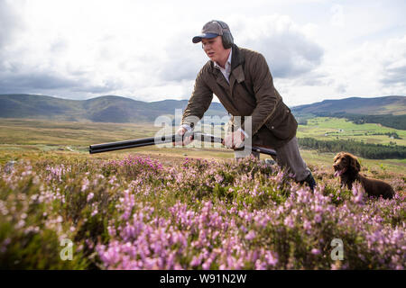 Archie Ward, avec Milo le chien, membre d'une partie de tir sur les maures à l'Estate dans Glen Clova Rottal, près de Kirriemuir, Angus, sur le glorieux douzième, le début de la saison de tir des tétras. Banque D'Images