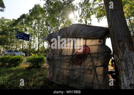 Vue de l'ordinateur portable fait maison par Chines des droits de l'escargot, Liu Yongchao à Liuzhou, Chine région autonome Zhuang du Guangxi, 22 mai 2013. Banque D'Images