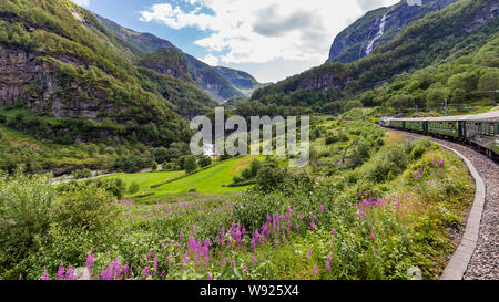 Vue depuis le plus beau train Flamsbana in Norway entre Flam et Myrdal dans Stryn dans l'ouest de la Norvège Banque D'Images