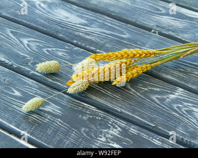 Plusieurs tiges de plantes céréalières séché sur un trottoir. Des épis de blé et phalaris pour décorer les photos de nourriture Banque D'Images