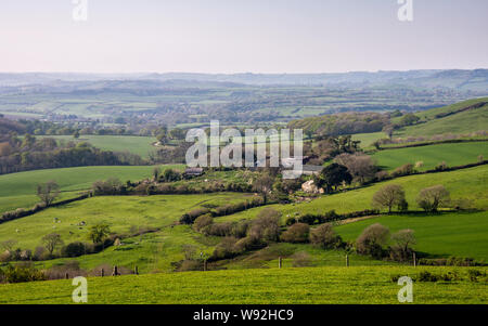 Une mosaïque de champs de pâturage et de bois couvre la Marshwood Vale et collines de West Dorset. Banque D'Images