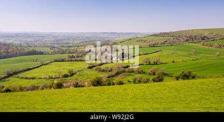 Une mosaïque de champs de pâturage et de bois couvre la Marshwood Vale sous Eggardon Hill et les collines de West Dorset. Banque D'Images