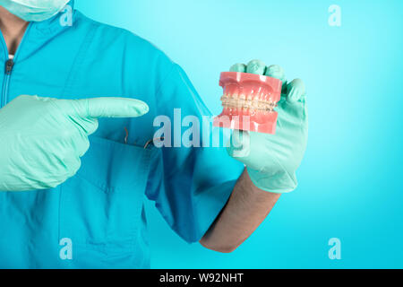 Dentiste montre comment appliquer une attelle. Anatomie, attente. Banque D'Images