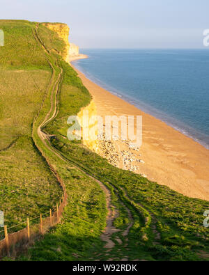 Le South West Coast Path train randonnée traverse de falaises de grès de West Bay, sur la côte jurassique du Dorset. Banque D'Images