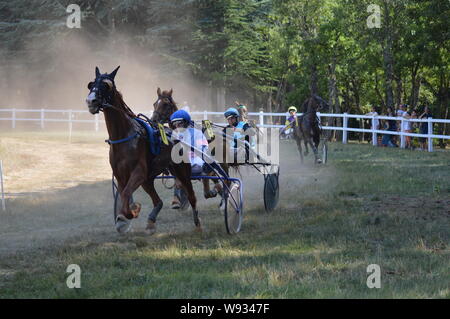 En août. 11. Un hippodrome 2019 Sault ( sud de la France, la seule course de chevaux à l'année ) Banque D'Images