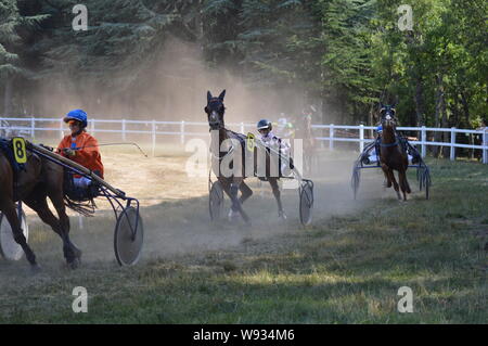 En août. 11. Un hippodrome 2019 Sault ( sud de la France, la seule course de chevaux à l'année ) Banque D'Images