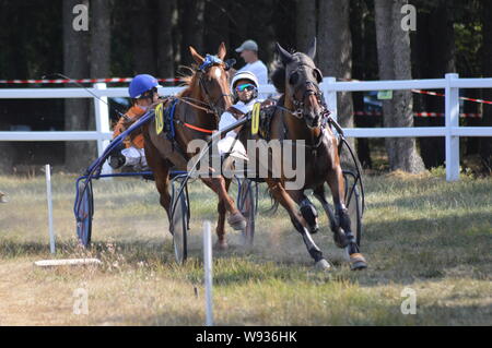 En août. 11. Un hippodrome 2019 Sault ( sud de la France, la seule course de chevaux à l'année ) Banque D'Images