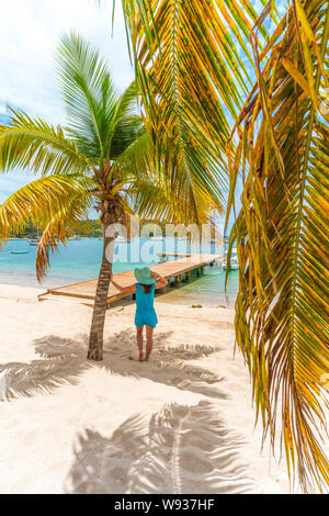 Woman leaning on un palmier en admirant une jetée en bois dans la mer des Caraïbes, l'Amérique centrale Banque D'Images