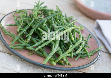 Queller-Salat Quellersalat,, Salat, Queller, Europäischer Queller, Salicornes, Meeresspargel Glasschmalz, Salicornia europaea, Salicornia europaea, ag Banque D'Images