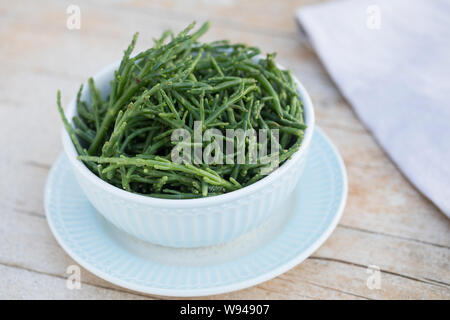 Queller-Salat Quellersalat,, Salat, Queller, Europäischer Queller, Salicornes, Meeresspargel Glasschmalz, Salicornia europaea, Salicornia europaea, ag Banque D'Images