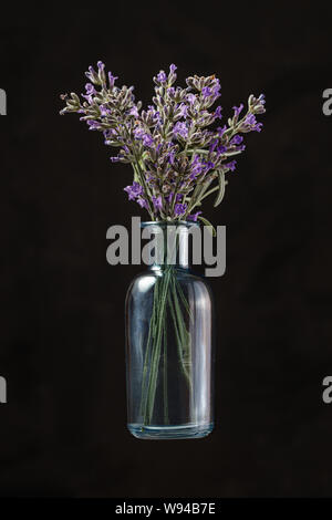 Bouteille en verre bleu avec fleurs de lavande sur fond noir. Aromathérapie Banque D'Images