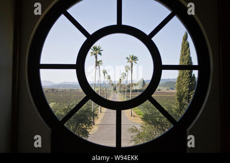 Fenêtre ornée d'arbres au bas d'une allée bordée d'arbres. Banque D'Images