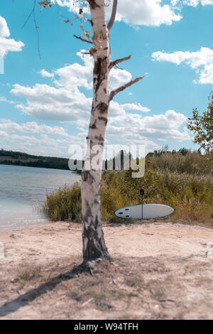 L'un surf Paddle Standup près d'un arbre sur la plage. Banque D'Images
