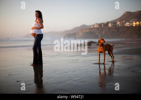 Femme enceinte sur plage avec chien. Banque D'Images