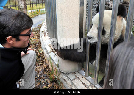 Rodolphe Delord, gauche, directeur du ZooParc de Beauval, et sa sœur, droite, regardez un des deux pandas géants prêtés au zoo de Chengdu à la Res Banque D'Images