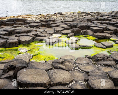 Giant's Causeway, célèbre attraction touristique de l'Irlande du Nord, Royaume-Uni. Pentagonal et hexagonale unique de formations géologiques des roches de basalte volcanique. Banque D'Images