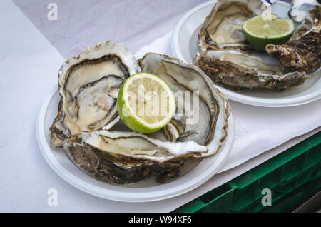 Huîtres fraîches avec de la chaux sur le marché aux poissons, Catane, Sicile Banque D'Images