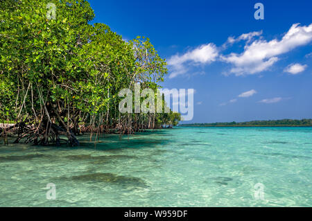 Havelock island, Andaman et Nicobar, Inde Banque D'Images