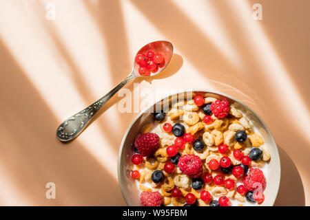 Les cornflakes savoureux avec les framboises et les bleuets sur fond pastel.Cornflakes avec fruits frais et yaourt servi dans un bol en céramique. Concept pour Banque D'Images