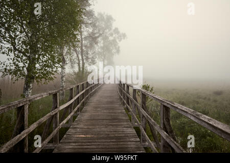 Promenade en bois et la nature à Federsee à Bad Buchau, Allemagne Banque D'Images